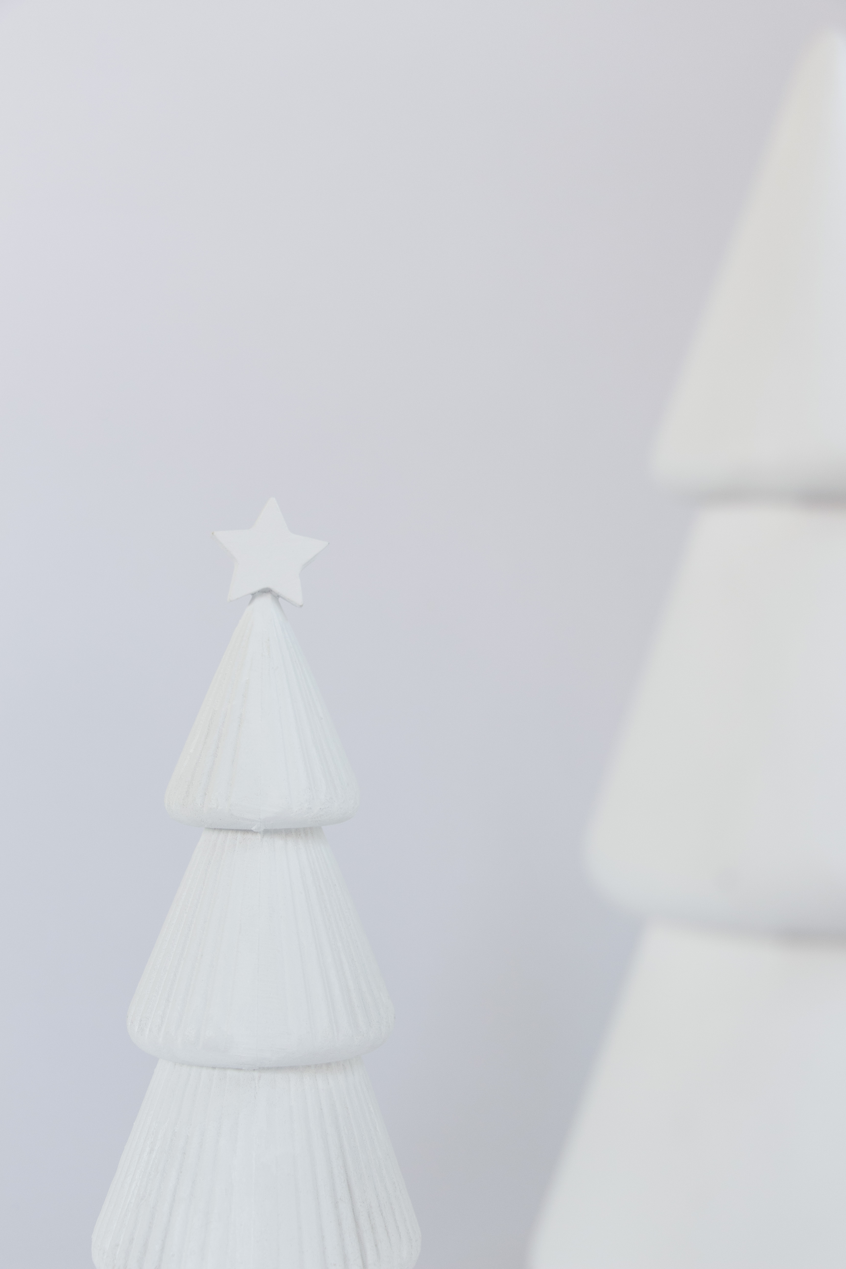 Beauty Shot portrait photography before editing